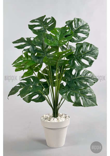 Yapay Çiçek Salon Bitkisi Monstera Deve Tabanı Kırıkbeyaz Renk Yalı Saksıda fırsatları