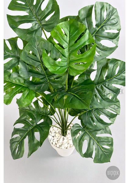 Yapay Çiçek Salon Bitkisi Monstera Deve Tabanı Kırıkbeyaz Renk Yalı Saksıda