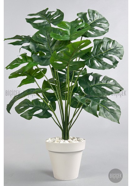 Yapay Çiçek Salon Bitkisi Monstera Deve Tabanı Kırıkbeyaz Renk Yalı Saksıda