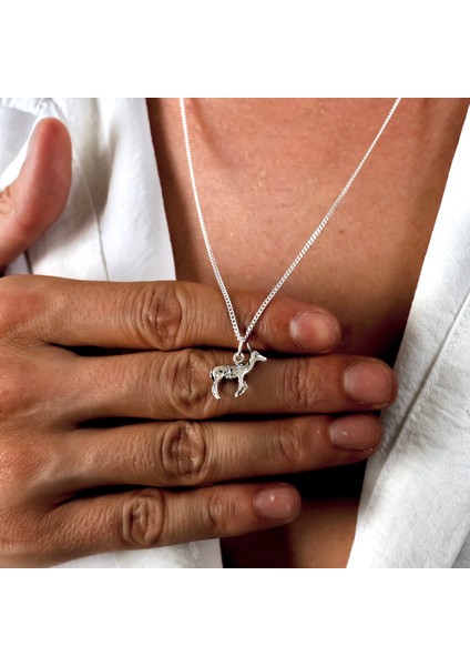 Gümüş Ceylan Kolye 925 Ayar Gümüş Mini Ceylan Figürlü Unisex Kolye fiyatları