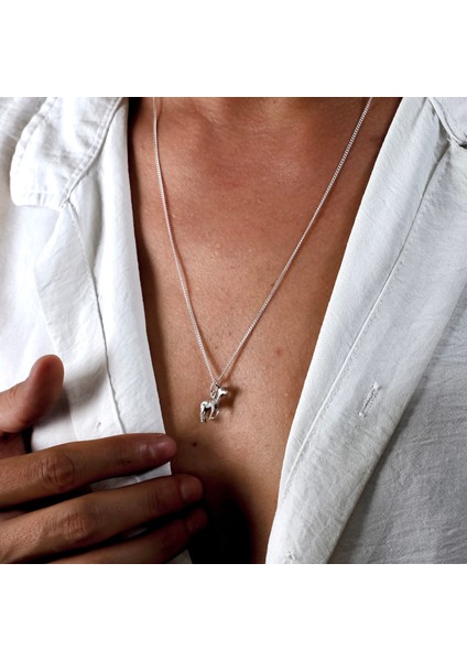 Gümüş Ceylan Kolye 925 Ayar Gümüş Mini Ceylan Figürlü Unisex Kolye fırsatları