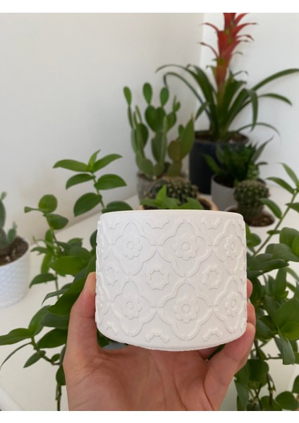 Çiçek Desenli Beyaz Beton Sukulent Saksı