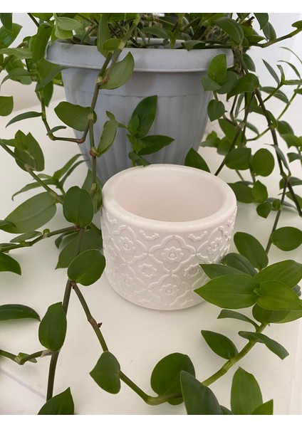 Çiçek Desenli Beyaz Beton Sukulent Saksı fiyatları