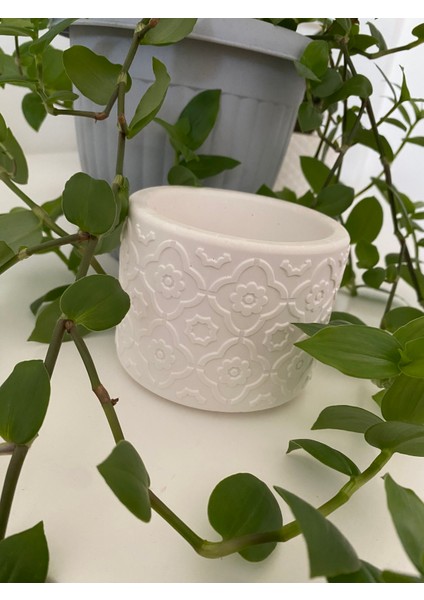 Çiçek Desenli Beyaz Beton Sukulent Saksı fırsatları