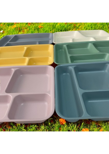 Tabldot 5 Bölmeli Lüks Plastik Piknik Tablot Yemek Servis Tabağı Pudra 21 x 31 x 3,5 (H) cm