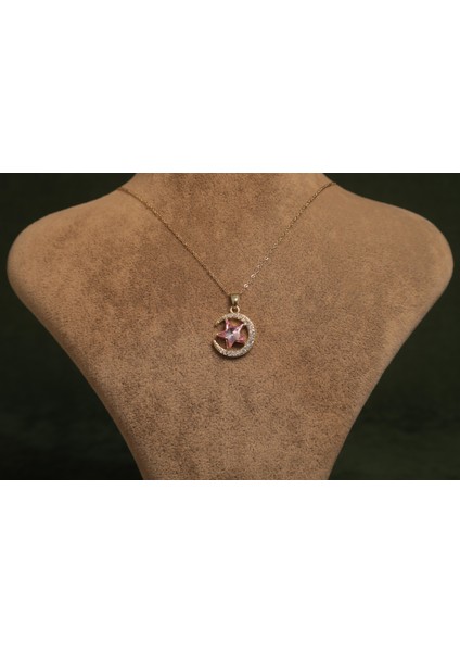 Pembe Yıldız Taşlı Hilal Çelik Kolye fiyatları