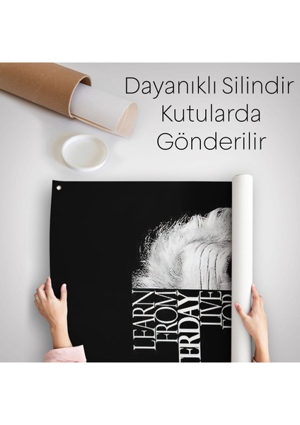 Dünden Öğrenin Bugünü Yaşayın Yarını Umut Edin Duvar Örtüsü - Halısı, Albert EINSTEIN-5275 indirimleri