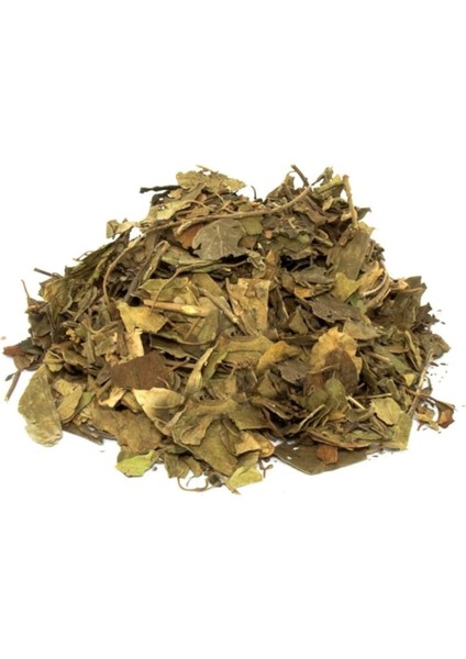 Cinnema Gimneya-Cimnema Otu 30 gr, Derya Eren fiyatları