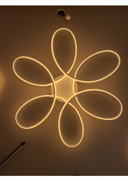 Yüksek Aydınlatmalı Papatya Model Beyaz Gövde Rengi Tavana Yapışık Plofonyer Modern 3 Renk LED Avize fiyatları