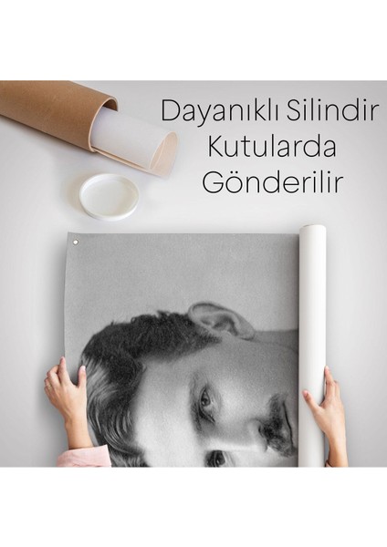 Dekoratif Duvar Örtüsü - HALISI-6172 fırsatları