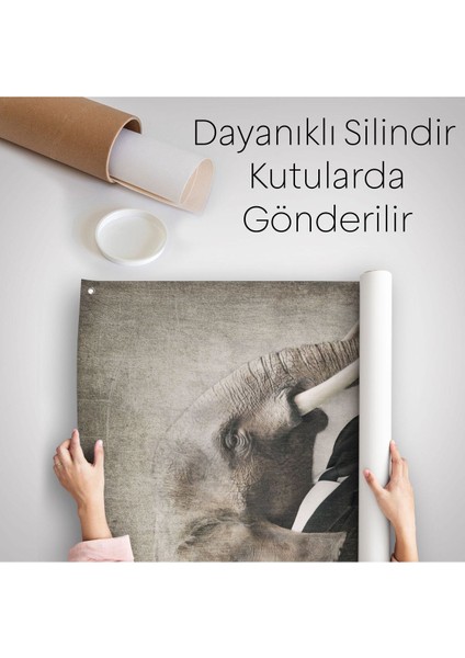 Fil Kafalı Insan Duvar Örtüsü - HALISI-4995 indirimleri