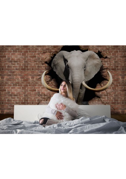 Yb Duvardan Çıkan Fil Duvar KAĞIDI-5609