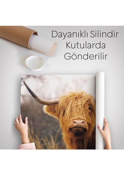 Amerikan Yayla Ineği Kanvas Duvar ÖRTÜSÜ-HALISI-5156 indirimleri