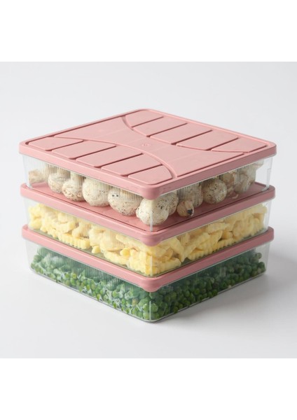 Saklama Kabı 3 Adet 3000 ml Pembe fiyatları