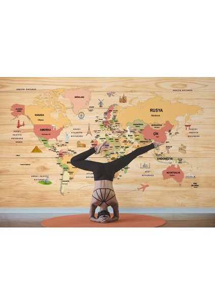 Alndrs Collection V2 Ahşap Görünümlü Türkçe Dünya Haritası Dekoratif Duvar KAĞIDI-2088 modelleri