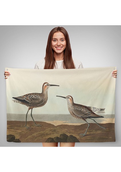 Uzun Bacaklı Çulluk Vintage Duvar ÖRTÜSÜ-7001