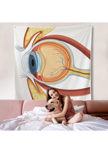 Göz Anatomizi Duvar Örtüsü - Göz Doktoru HEDIYESI-8367