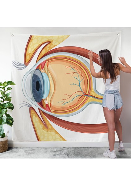 Göz Anatomizi Duvar Örtüsü - Göz Doktoru HEDIYESI-8367 modelleri