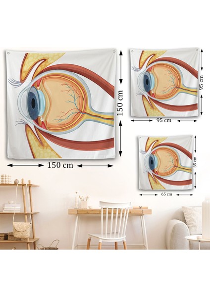 Göz Anatomizi Duvar Örtüsü - Göz Doktoru HEDIYESI-8367 fırsatları