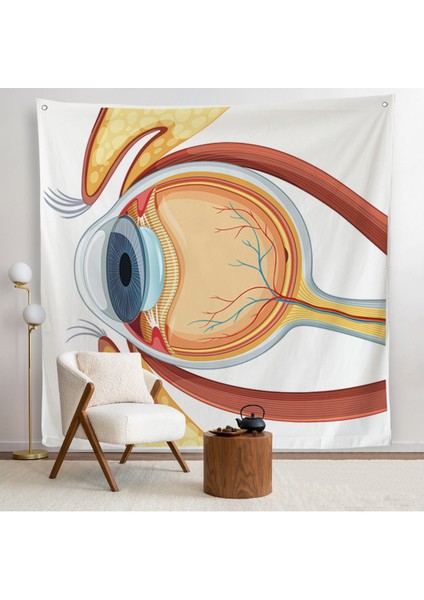 Göz Anatomizi Duvar Örtüsü - Göz Doktoru HEDIYESI-8367