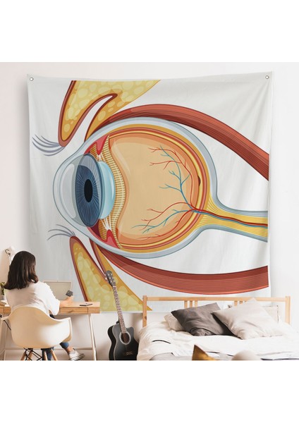 Göz Anatomizi Duvar Örtüsü - Göz Doktoru HEDIYESI-8367