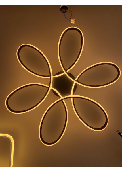 Yüksek Aydınlatmalı Papatya Model Siyah Gövde Rengi Tavana Yapışık Plofonyer Modern 3 Renk LED Avize fiyatları