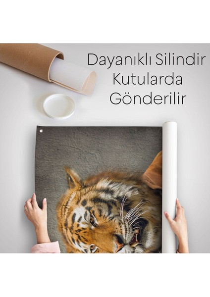 Kaplan Adam Dekoratif Duvar Örtüsü - HALISI-5938 indirimleri