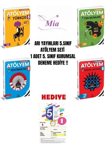 5.sınıf Arı Atölyem Set