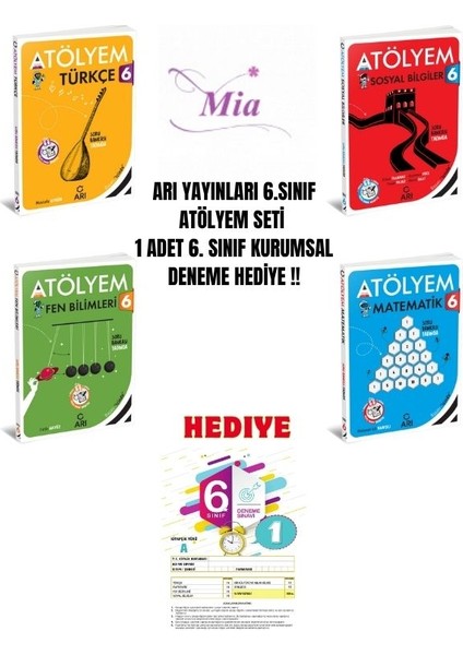 6.sınıf Arı Atölyem Set