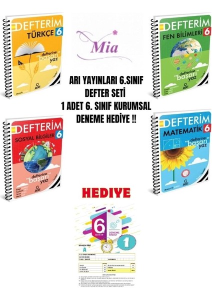 6.sınıf Arı Defter Set