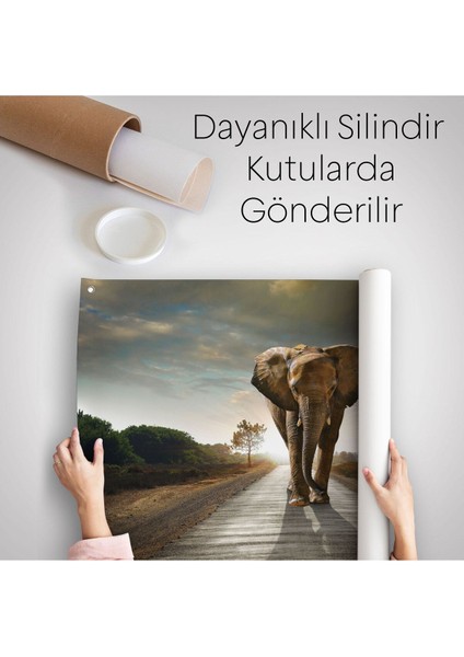 Duvar Örtüsü / Halısı Yürüyen Fil Kaliteli Kanvas Kumaş -3959