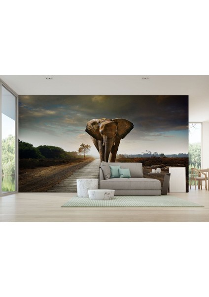 Yürüyen Fil Duvar Kağıdı - POSTERI-3959