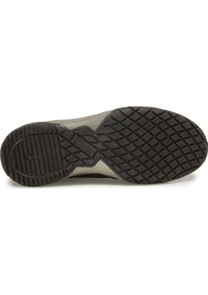 Thorıum 3pr Kahverengi Erkek Bot