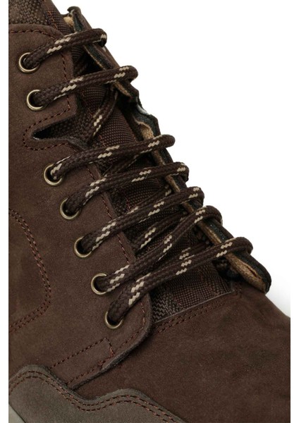 Thorıum 3pr Kahverengi Erkek Bot