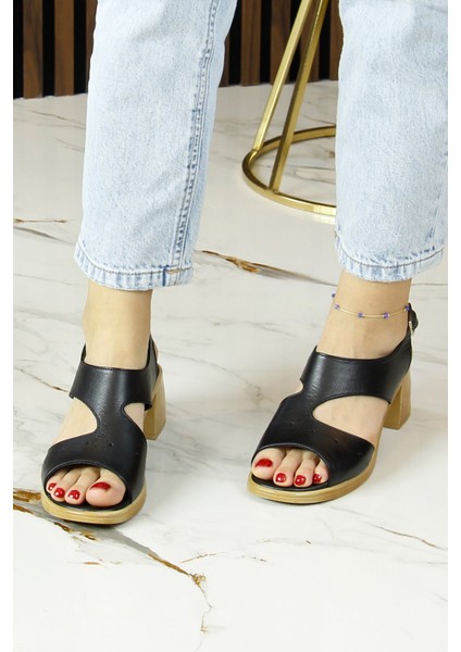 Ofelia Siyah Hakiki Dana Derisi Delik Detaylı Tokalı Kalın Topuklu Rahat Günlük Sandalet modelleri