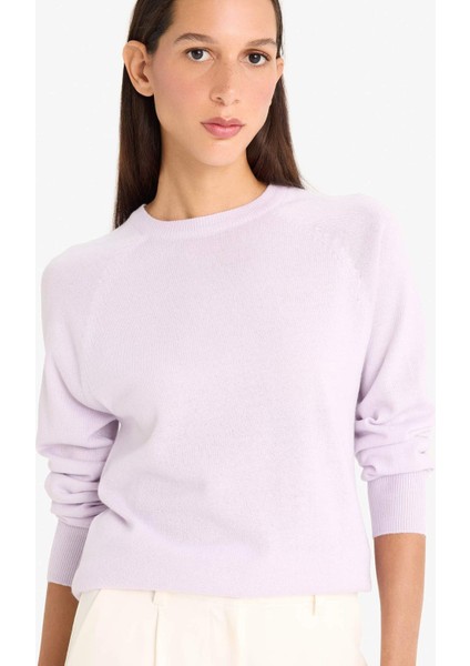 Relax Fit Bisiklet Yaka Basic Düz Triko Kazak I6913AZ25WN