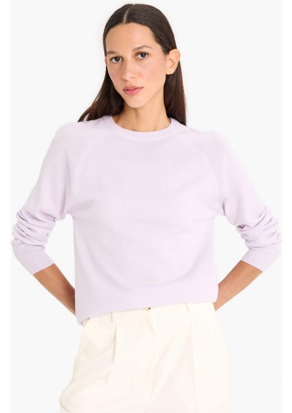 Relax Fit Bisiklet Yaka Basic Düz Triko Kazak I6913AZ25WN modelleri