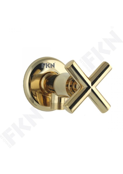 Köşegen Altın Taharet Musluk