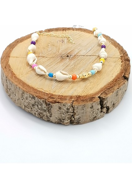 Deniz Kabuğu Lüks Hal Hal