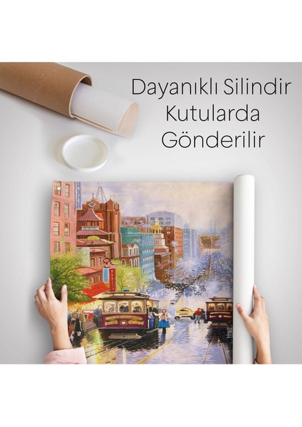 Aşağı California Sokak Gelen Nob Hill Thomas Duvar ÖRTÜSÜ-HALISI-5825 indirimleri