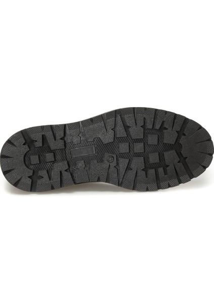 Forza 4pr Kahverengi Erkek Bot