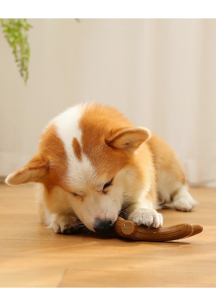 Yeni Evcil Hayvan Köpeği Ağız Kokusuna ve Aşınmaya Karşı Dayanıklıdır (Yurt Dışından) indirimleri