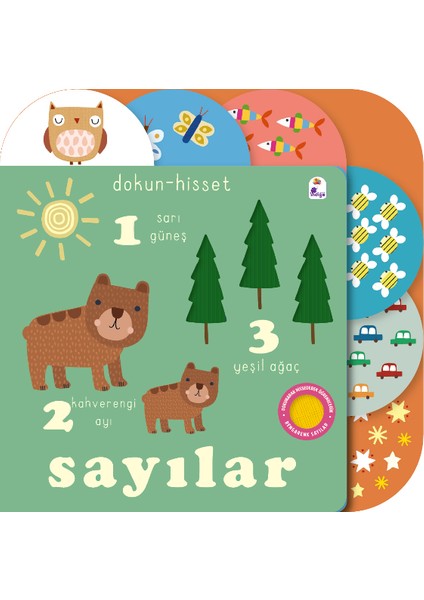 Dokun- Hisset - Sayılar