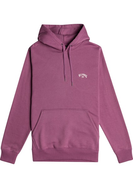 Arch Po Erkek Mor Sweatshirt fiyatları