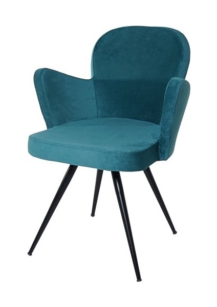 Defne Metal Mutfak Cafe Sandalyesi