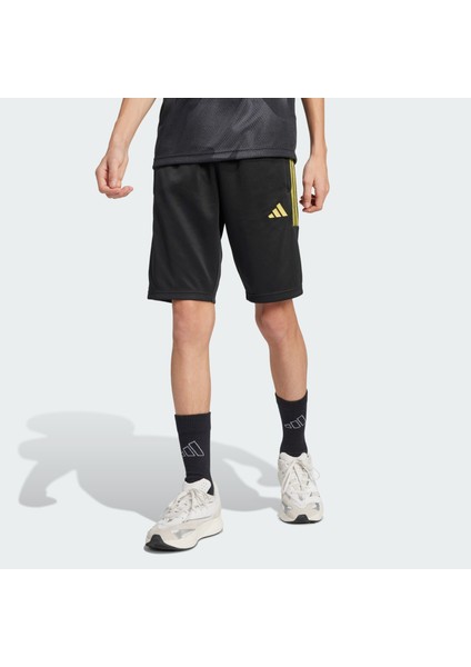 Sportswear JI6184 House of Tiro Colors of Football Shorts Kids fiyatları