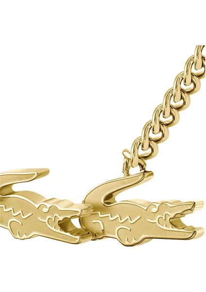 LACJ2040513 Kadın Kolye modelleri