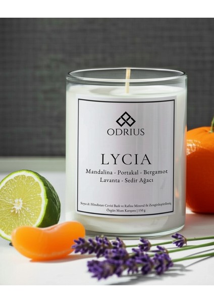 Ferah Yazlık Kokulu Mum – Turunçgil, Lavanta, Limon, Adaçayı – 2’li Premium El Yapımı Mum – Soya & Hindistan Cevizi Bazlı ve Rafine Mineral ile Zenginleştirilmiş Özgün Mum Karışımı – (2x150g) - ODRIUS fiyatları