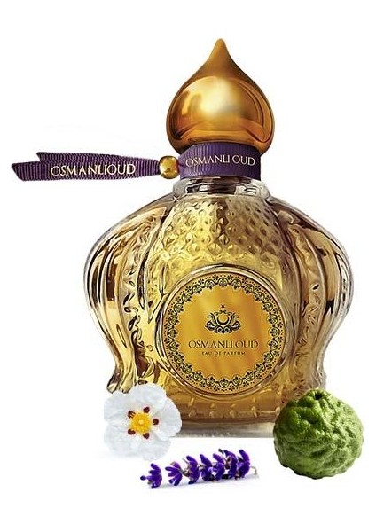 Warriors Demirhan EDP 65 ML Erkek Parfümü – Aromatik – 4111