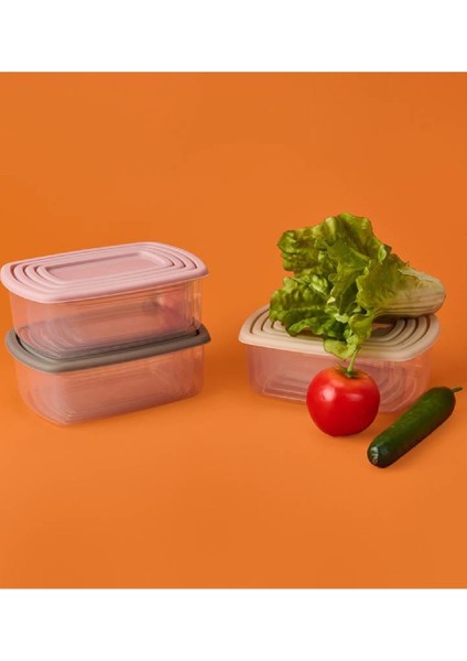 4'lü Dikdörtgen Easy Saklama Kabı Seti fiyatları